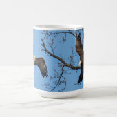 Bald Eagle Wing Drop Kaffeetasse (Mittel)