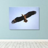 Bald Eagle Wingspread Leinwanddruck (Insitu (Holzboden))