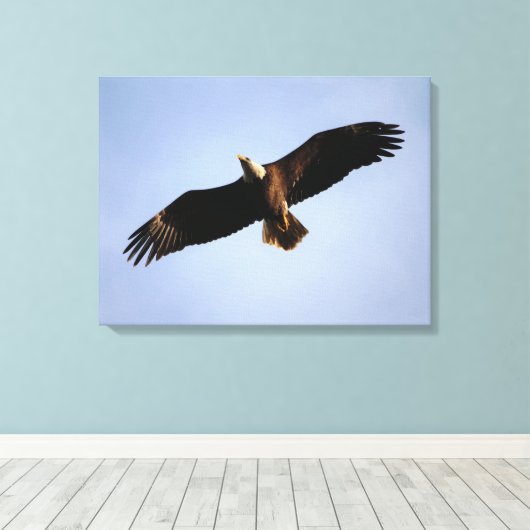 Bald Eagle Wingspread Leinwanddruck (Insitu (Holzboden))