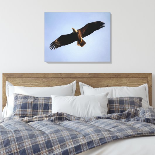 Bald Eagle Wingspread Leinwanddruck (Insitu (Schlafzimmer))