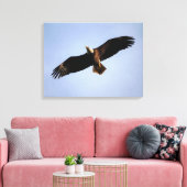 Bald Eagle Wingspread Leinwanddruck (Insitu (Wohnzimmer))