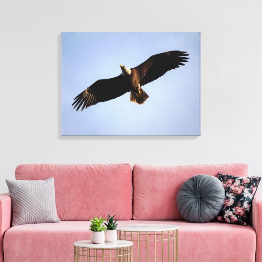 Bald Eagle Wingspread Leinwanddruck (Insitu (Wohnzimmer))