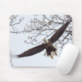 Bald Eagle Wingspread Mousepad (Mit Mouse)