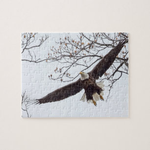 Bald Eagle Wingspread Puzzle