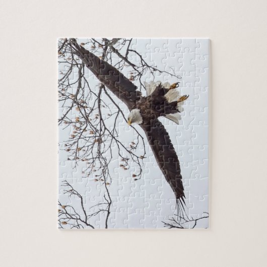 Bald Eagle Wingspread Puzzle (Vertikal)
