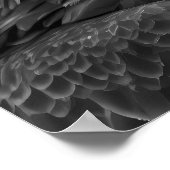 Bald Eagle Woodland Modernes Portrait Schwarz-weiß Poster (Ecke)