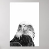 Bald Eagle Woodland Modernes Portrait Schwarz-weiß Poster (Vorne)