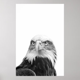 Bald Eagle Woodland Modernes Portrait Schwarz-weiß Poster
