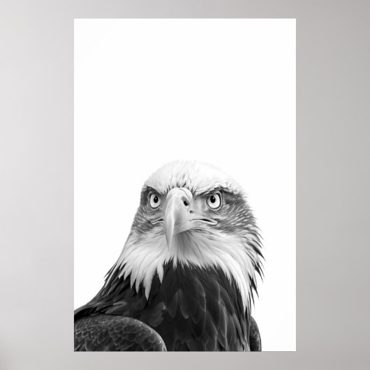 Bald Eagle Woodland Modernes Portrait Schwarz-weiß Poster (Vorne)