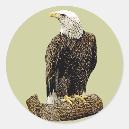 Bald Eagle Zeichnend Runder Aufkleber (Vorderseite)