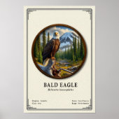 Bald Eagle Zoology Series Poster (Vorne)