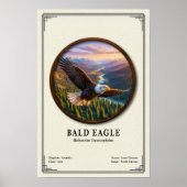 Bald Eagle Zoology Series Poster (Vorne)