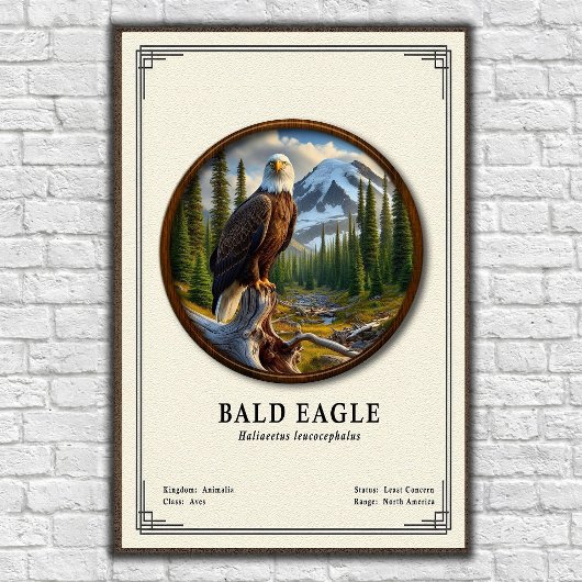 Bald Eagle Zoology Series Poster