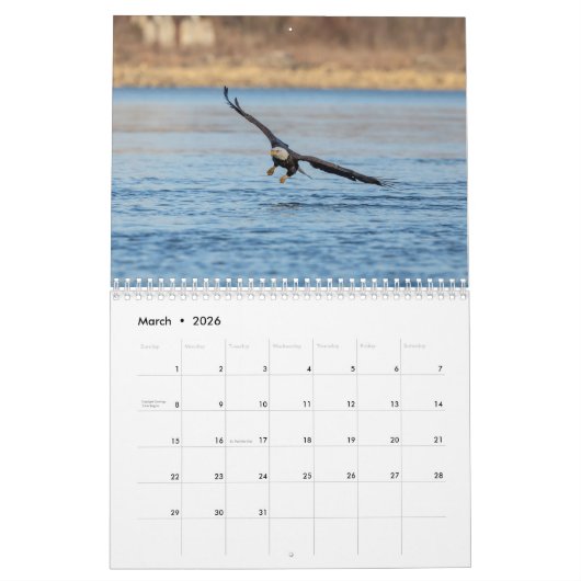 Bald Eagles 2026 Kalender (Mär 2026)