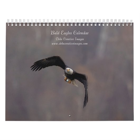 Bald Eagles 2026 Kalender (Titelbild)
