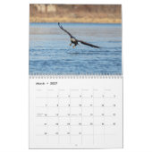 Bald Eagles 2026 Kalender (Mär 2027)