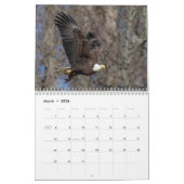 Bald Eagles 2026 Kalender (Mär 2026)