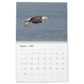Bald Eagles 2026 Kalender (Feb 2027)