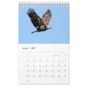 Bald Eagles 2026 Kalender (Jan 2027)