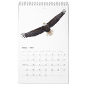 Bald Eagles 2026 Kalender (Mär 2027)