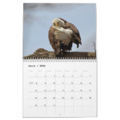 Bald Eagles 2026 Kalender (Mär 2026)
