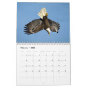 Bald Eagles 2026 Kalender (Feb 2026)
