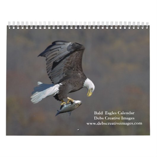 Bald Eagles 2026 Kalender (Titelbild)