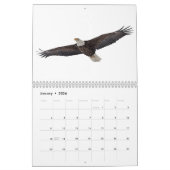 Bald Eagles 2026 Kalender (Jan 2026)