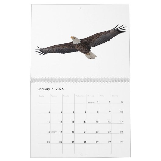 Bald Eagles 2026 Kalender (Jan 2026)