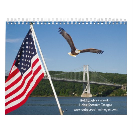 Bald Eagles 2026 Kalender (Titelbild)