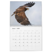 Bald Eagles 2026 Kalender (Mär 2027)