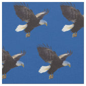 Bald Eagles American Bird Stoff (Nahaufnahme)