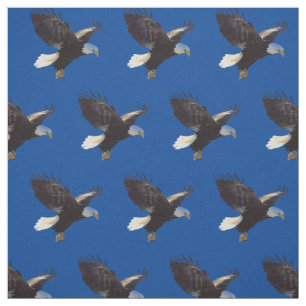 Bald Eagles American Bird Stoff