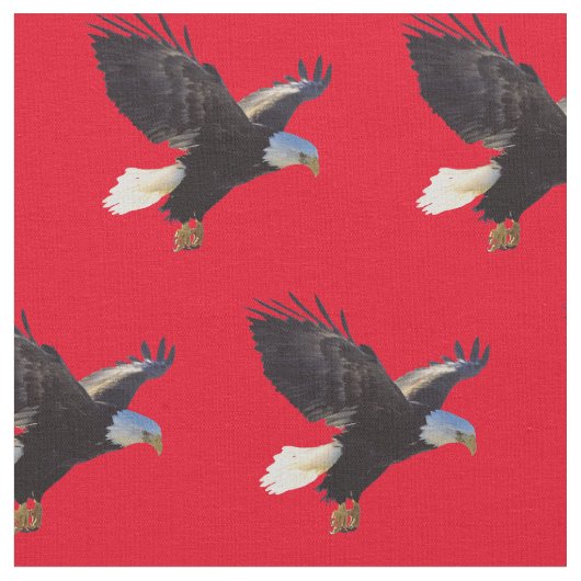 Bald Eagles American Bird Stoff (Nahaufnahme)