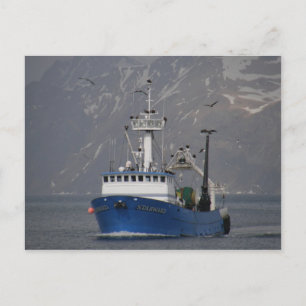 Bald Eagles begrüßt die Starward-Zuhause Postkarte