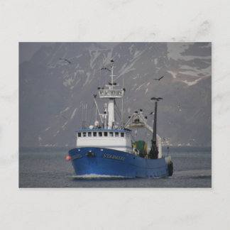 Bald Eagles begrüßt die Starward-Zuhause Postkarte