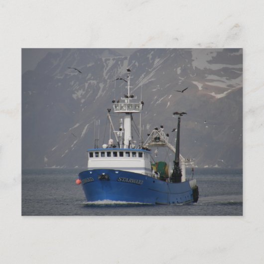 Bald Eagles begrüßt die Starward-Zuhause Postkarte (Vorderseite)