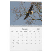Bald Eagles Calendar Kalender (Feb 2027)