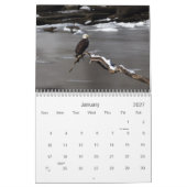 Bald Eagles Calendar Kalender (Jan 2027)