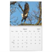 Bald Eagles Calendar Kalender (Mär 2027)