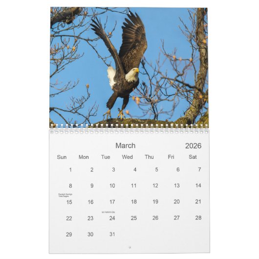 Bald Eagles Calendar Kalender (Mär 2026)