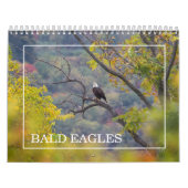 Bald Eagles Calendar Kalender (Titelbild)