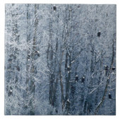 Bald Eagles Fliese (Vorderseite)