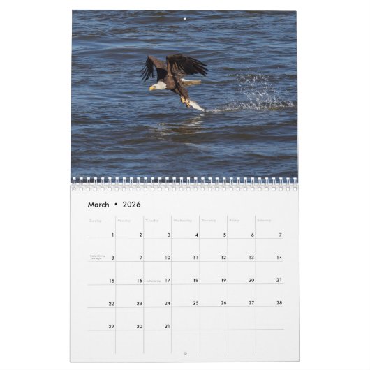 Bald Eagles Kalender (Mär 2026)