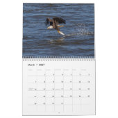 Bald Eagles Kalender (Mär 2027)