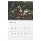 Bald Eagles $ Kalender (Mär 2026)