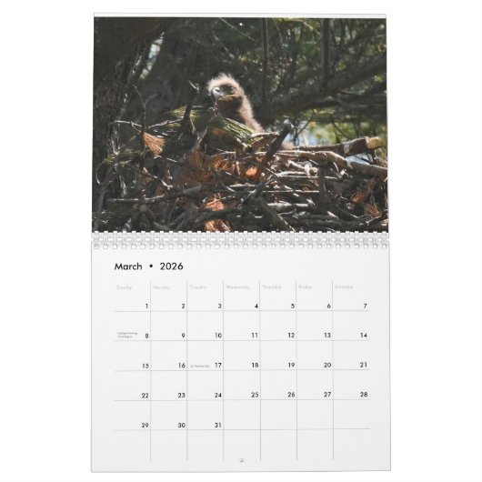 Bald Eagles $ Kalender (Mär 2026)
