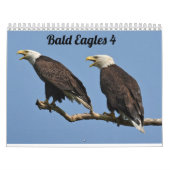 Bald Eagles $ Kalender (Titelbild)