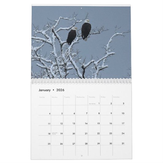 Bald Eagles $ Kalender (Jan 2026)