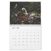 Bald Eagles $ Kalender (Mär 2027)